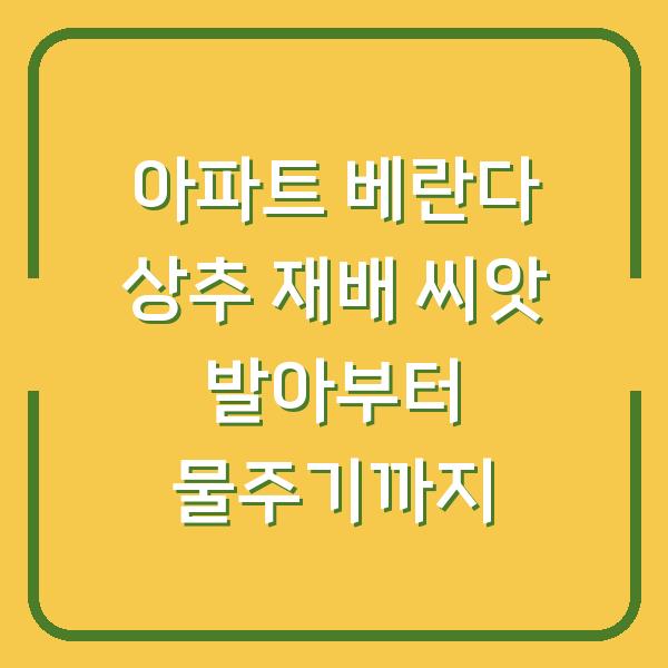 아파트 베란다 상추 재배 씨앗 발아부터 물주기까지