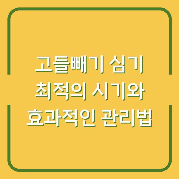 고들빼기 심기 최적의 시기와 효과적인 관리법