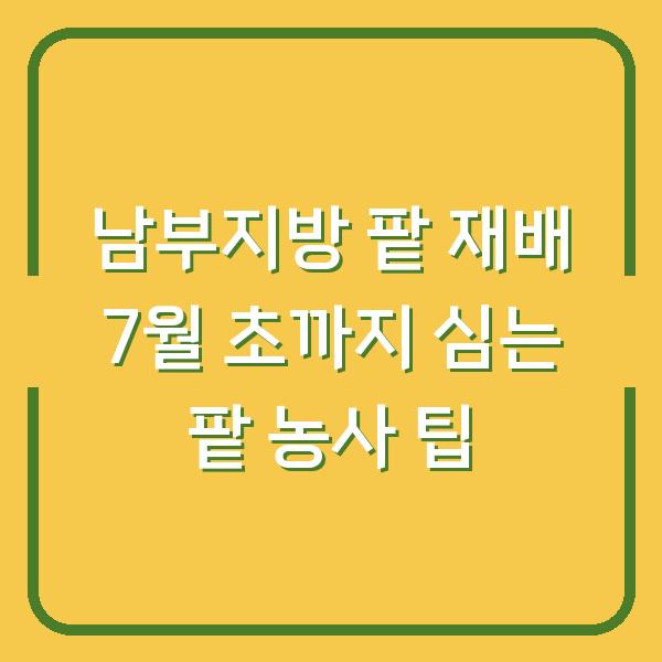 남부지방 팥 재배 7월 초까지 심는 팥 농사 팁