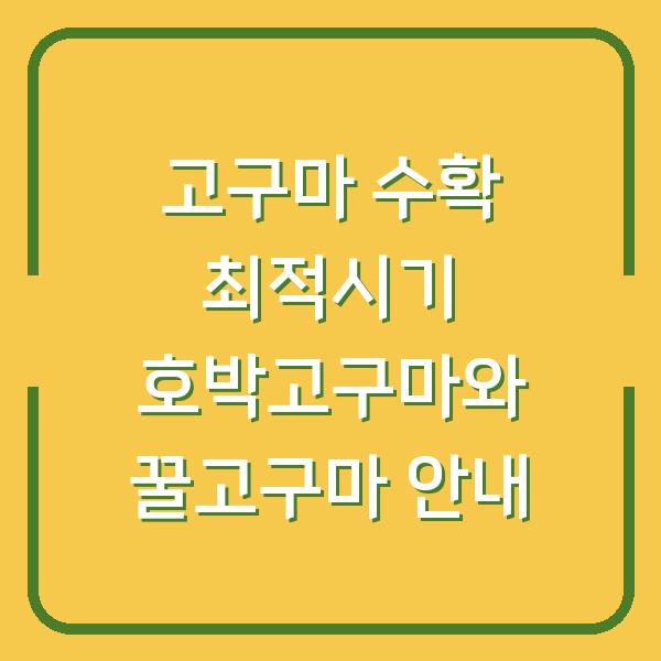 고구마 수확 최적시기 호박고구마와 꿀고구마 안내