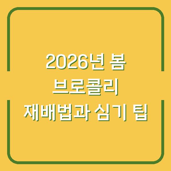 2026년 봄 브로콜리 재배법과 심기 팁