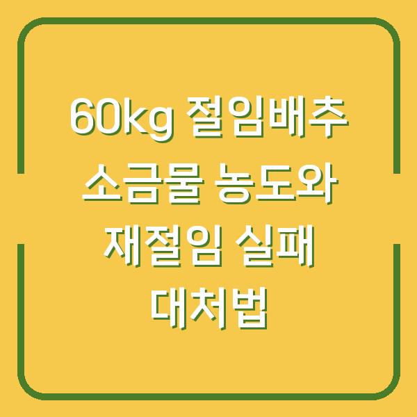 60kg 절임배추 소금물 농도와 재절임 실패 대처법