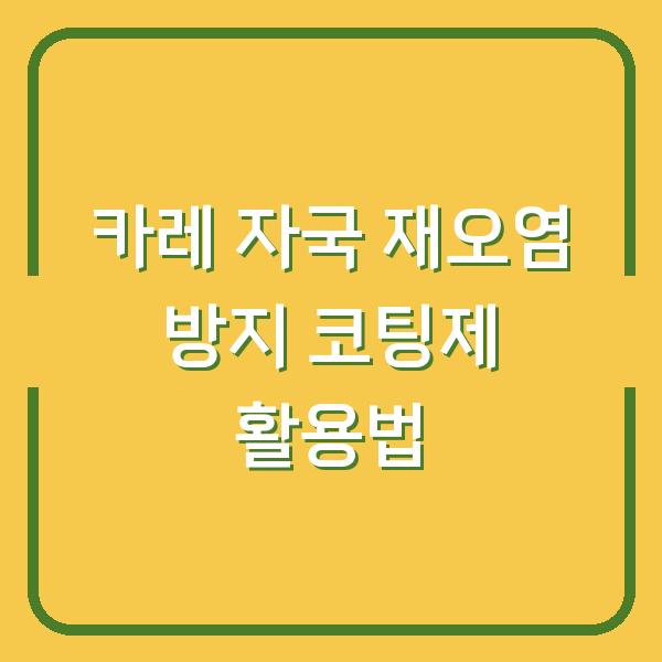 카레 자국 재오염 방지 코팅제 활용법