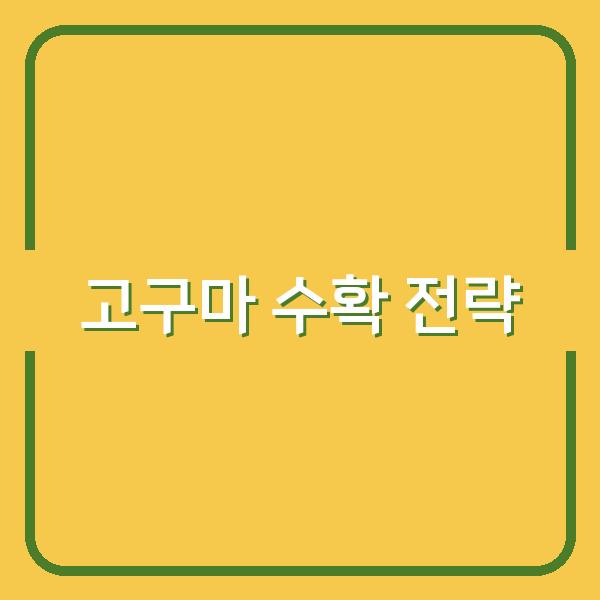 서리 내리기 전 꼭 알아야 할 고구마 정식 시기와 수확 핵심 전략