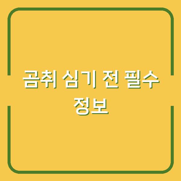 곰취 심기 전에 알았다면 실패 없었을 심는 시기와 키우는 방법, 수확 시점