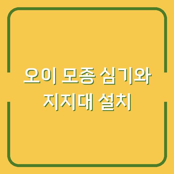오이 모종 심는 시기, 이렇게 하면 수확량 두 배 지지대 설치까지 한 번에