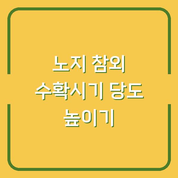 노지 참외 수확시기, 농가가 알려주는 당도 높은 참외 따는 법