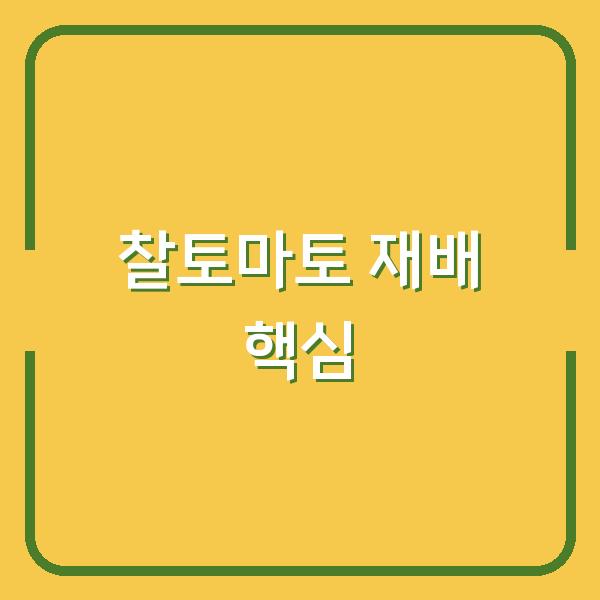 초보자도 실패 없는 찰토마토 모종 심기와 수확까지 꼭 알아야 할 재배 핵심 노하우