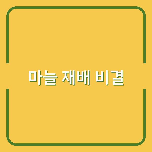 마늘 재배의 성공 비결 한지형과 난지형 심는 시기와 방법 비교