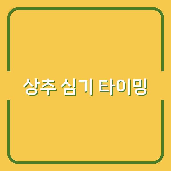 계절별 상추 심기 타이밍과 모종·파종법으로 수확량 극대화하는 방법