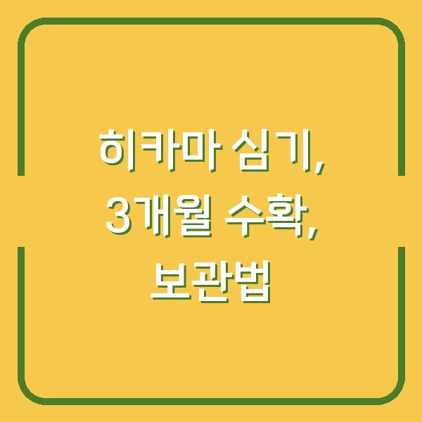 히카마, 지금 심으면 3개월 후 수확하는 방법과 보관 노하우
