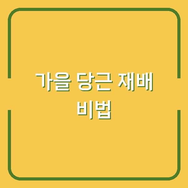 가을 당근, 지금 심어야 내년 봄까지 수확하는 비법