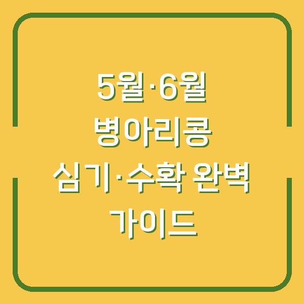 5월과 6월 병아리콩 심기, 수확 시기와 재배 방법으로 실패 없는 첫 수확 도전