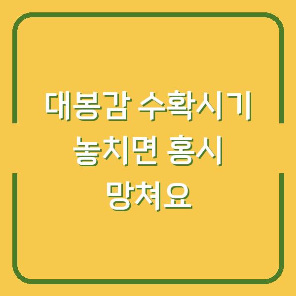 대봉감 수확시기 놓치면 홍시 망쳐요 – 지금 따야 하는 이유