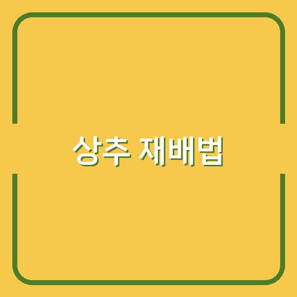 집에서 상추 키우기, 베란다 텃밭과 노지 씨앗 심기로 신선한 수확법 공개
