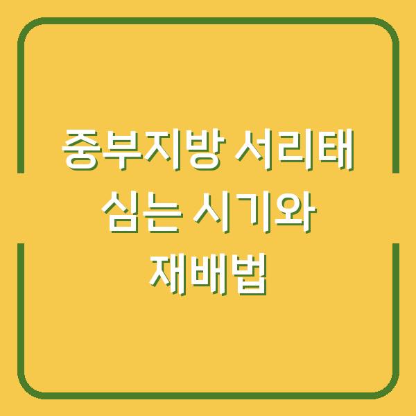 중부지방 서리태 심는 시기와 재배법, 놓치면 수확량이 달라집니다