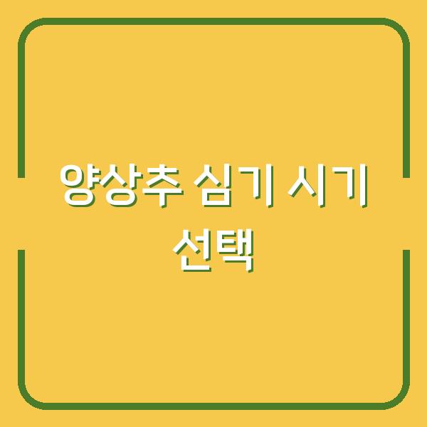 양상추 심는 시기와 재배 방법, 모종 심기 vs 파종 시기 선택은 이렇게