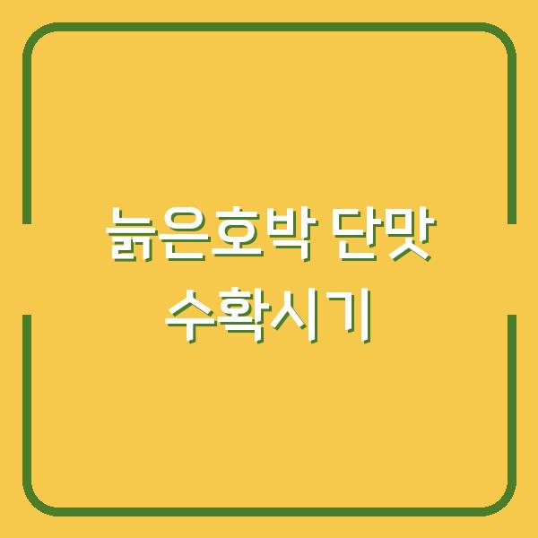 늙은호박, 지금 수확해야 단맛이 2배 더 올라갑니다 (수확시기·보관법·보관 장소)