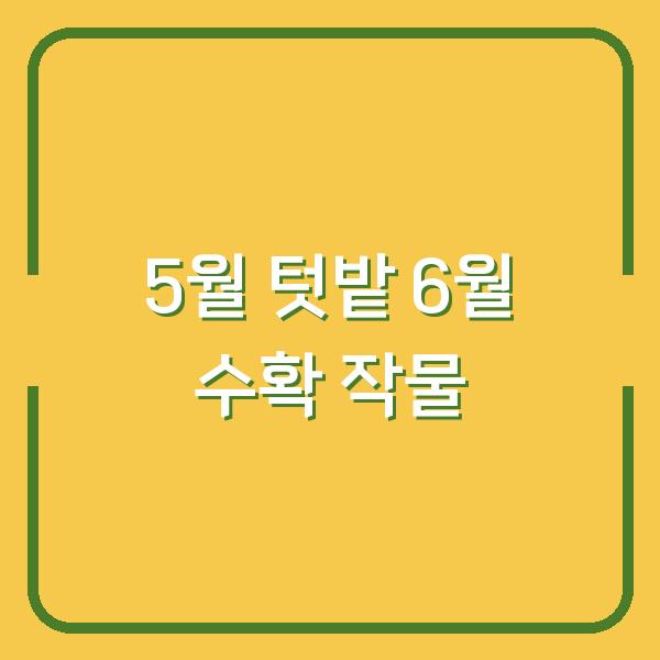 2026년 5월 텃밭에 심으면 6월 수확이 확실한 작물 5가지