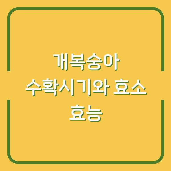 개복숭아 수확시기 놓치면 후회하는 이유, 효소 효능까지 제대로 챙기는 법