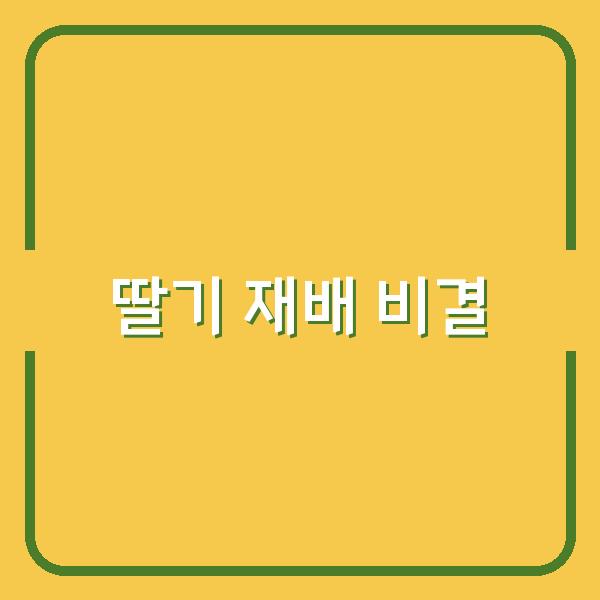 집에서 설향 딸기 모종 심기부터 노지 텃밭 물주기까지, 딸기 재배 성공 비결 공개