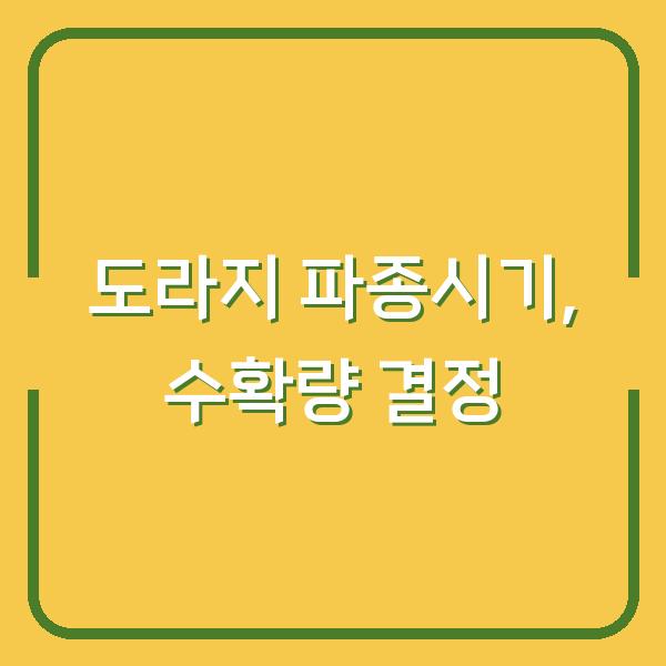 도라지 심는 시기, 씨앗 파종시기 놓치면 수확량 반토막 나는 이유
