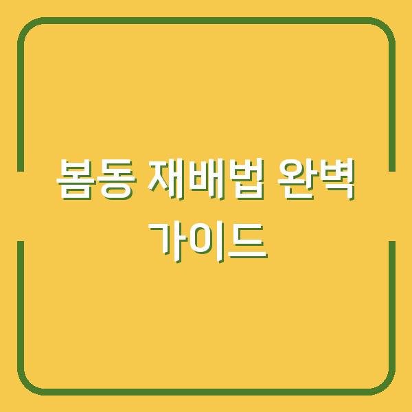 봄동 심는 시기부터 수확까지, 초보도 실패 없는 재배법과 요리 레시피