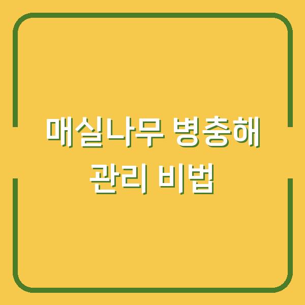 매실나무 약 치는 시기와 가지치기, 이렇게만 하면 병충해 걱정 끝