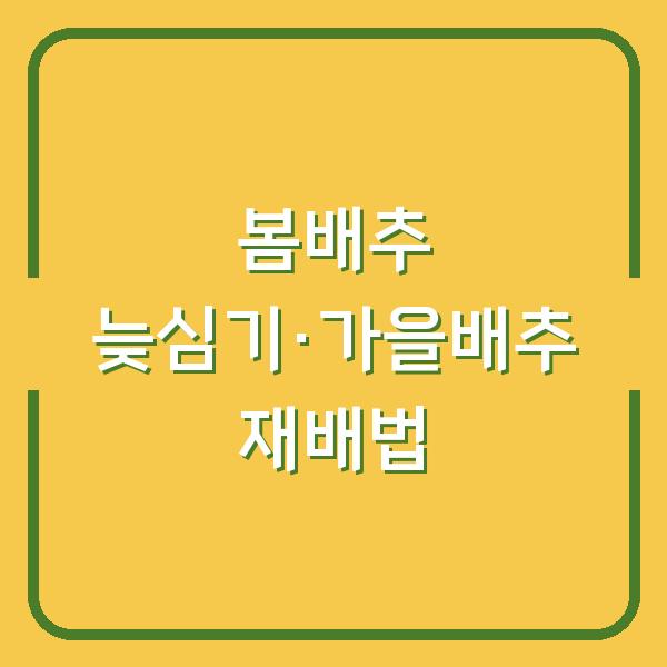 봄배추 심는 시기 한 달 늦추니 물주기·거름주기 실패 없던 가을배추 재배법