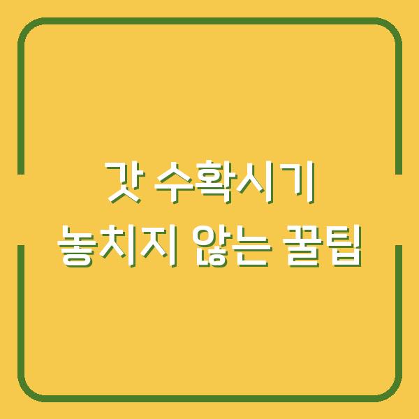 갓 수확시기 놓치지 않으려면? 파종시기부터 재배 방법까지 실전 꿀팁