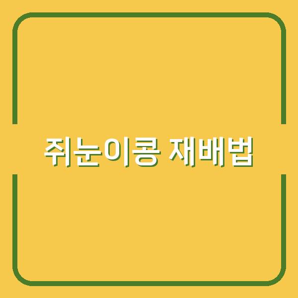 쥐눈이콩 심는 최적 시기와 생육 기간, 수확량 높이는 실전 재배법 공개