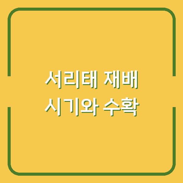 서리태 재배, 심는 시기와 수확 시기를 놓치면 수확량이 반토막 납니다