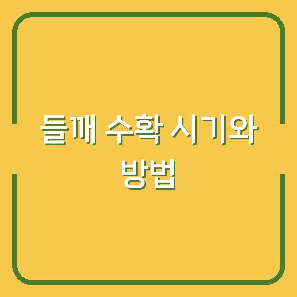 들깨 농사 성패 가르는 수확 시기, 베는 방법부터 말리기·털기까지 실전 꿀팁