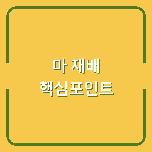 마 심는 시기와 하늘마·산마 재배법, 수확까지 놓치지 말아야 할 핵심 포인트