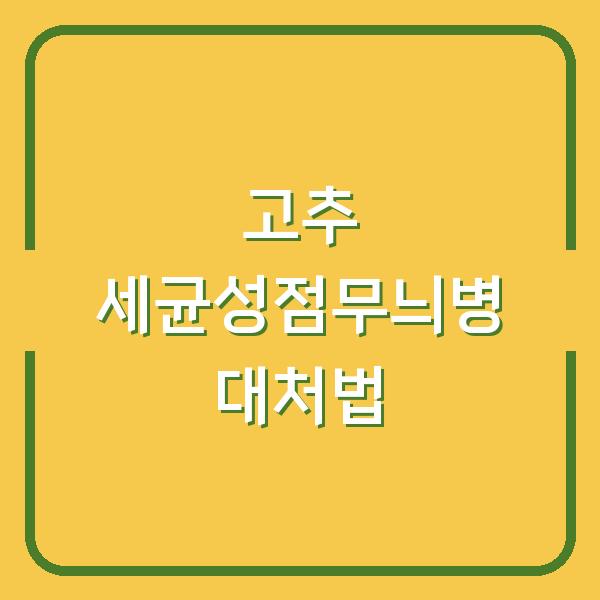고추 세균성점무늬병, 지금 이렇게 대처하면 수확량 지킵니다