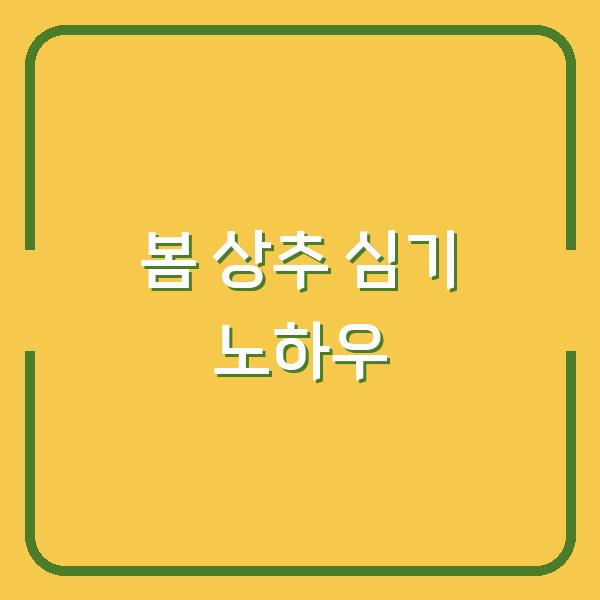 2026년 봄 상추, 3월에 심으면 4월 말까지 수확하는 노하우