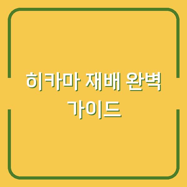 히카마 심는 시기와 수확 시기, 제대로 보관하는 법까지 한 번에