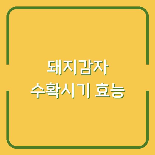돼지감자 수확시기 놓치면 효능 반토막? 재배법부터 활용법까지