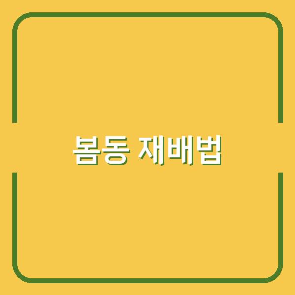 봄동 파종부터 수확까지, 신선한 봄동 키우는 핵심 재배법과 인기 요리 레시피