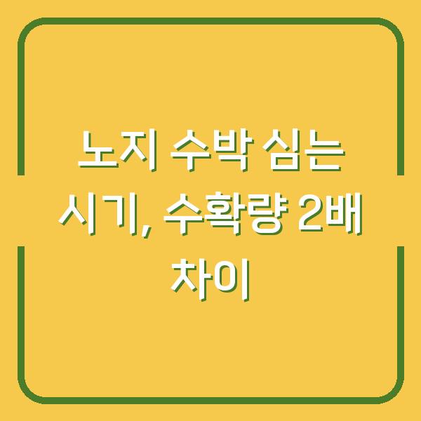 노지 수박 심는 시기, 5년 농사로 확인한 수확량 2배 차이