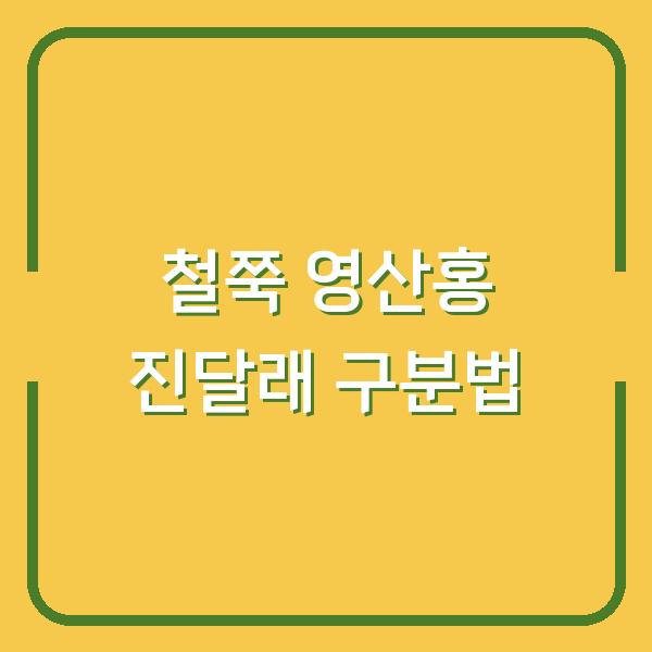 철쭉·영산홍·진달래 헷갈린다면? 꽃말과 개화시기 차이로 정리