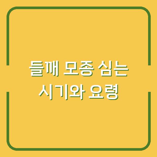 들깨 모종 심는 시기, 3년 농부가 알려주는 옮겨심기 실패 없는 요령