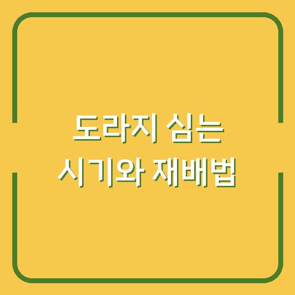 도라지 심는 시기 놓치면 1년 기다려야 합니다 씨앗 파종부터 수확까지 실제 재배 방법