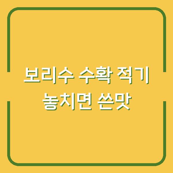 보리수 수확시기 놓치면 쓴맛 납니다, 지금 따야 하는 이유