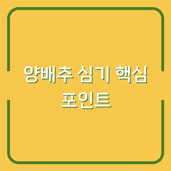 양배추 심는 시기와 모종 심기, 초보도 실수 없는 3가지 포인트