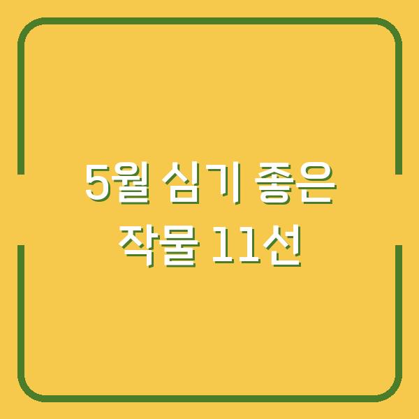 5월에 심기 좋은 작물 11선 – 초보도 실패 없는 품종 고르는 법