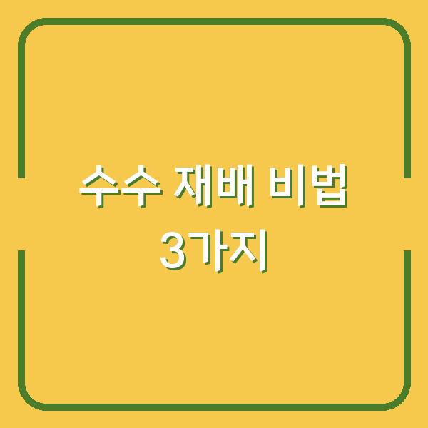 수수 심는 시기부터 수확까지 초보자도 실패 없는 재배 비법 3가지