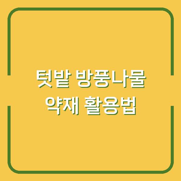 방풍나물, 텃밭에서 키워서 약재로 쓰는 3가지 방법