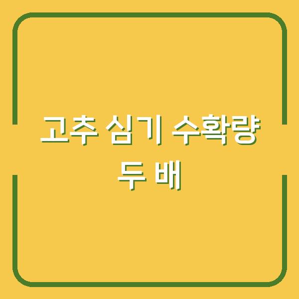 2026년 고추 심는 시기 이렇게 하면 수확량 두 배로 늘어납니다