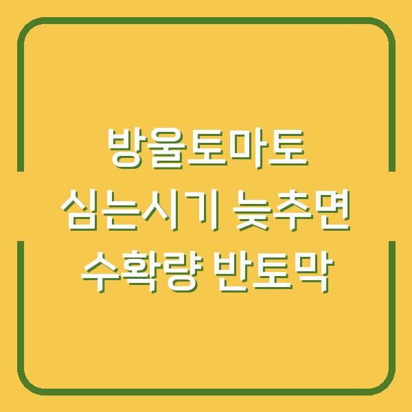 방울토마토 심는시기 늦추면 수확량 반토막? 모종 골라서 가지치기까지